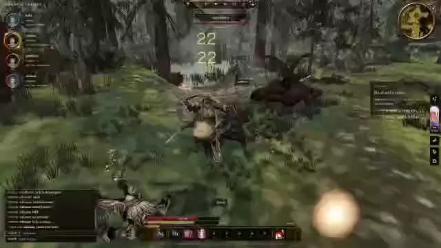 Dragon Age Online: in-game scene