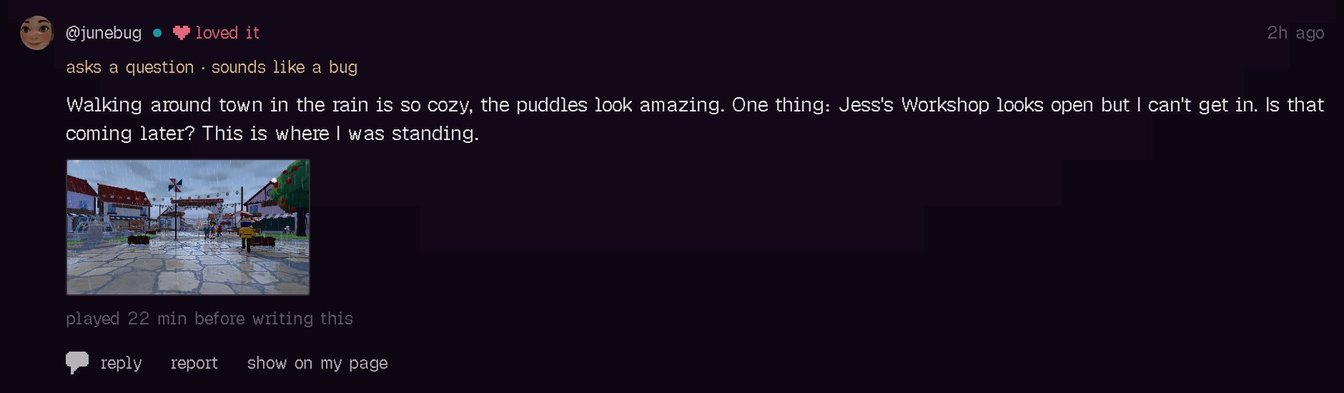 A player’s note on a game’s numbers page, with the picture they took and a line saying it sounds like a bug