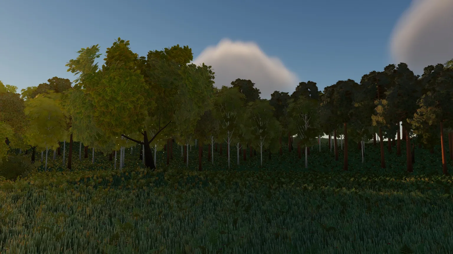 Realistic Trees and Foliage